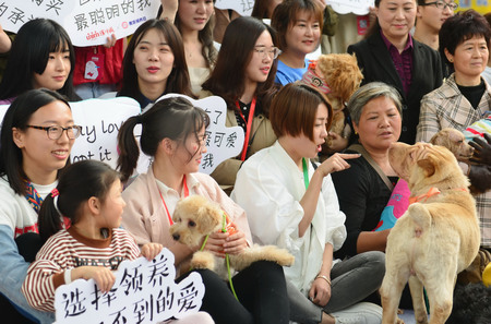 More Chinese Choosing to Adopt Pets Instead of Buying